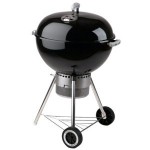 weber22inch